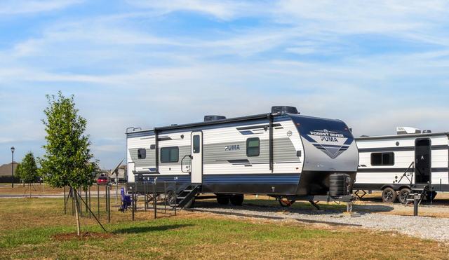 Travel trailer parked on a gravel site beside a young tree and grass