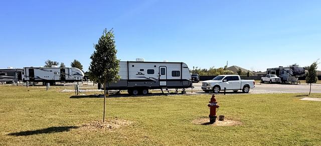Grassy area with a fire hydrant and young tree near parked RVs and trucks