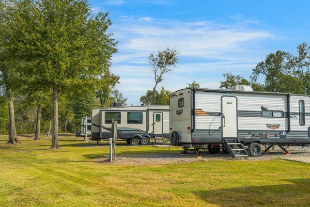 Two travel trailers parked on grass beside tall trees under blue sky