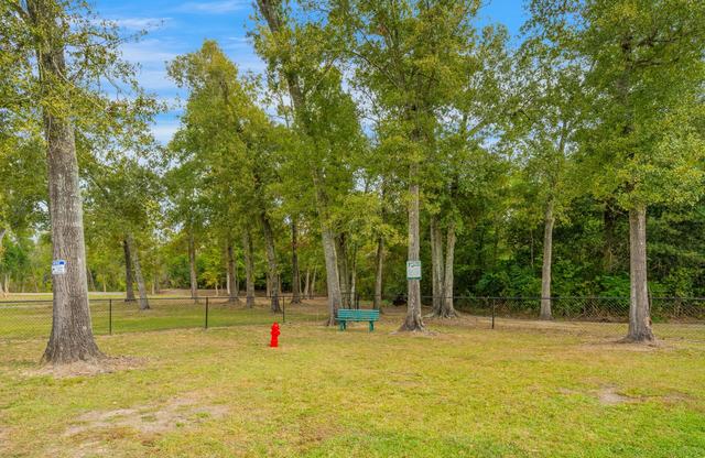 Grassy fenced area under tall trees with a red hydrant and green bench