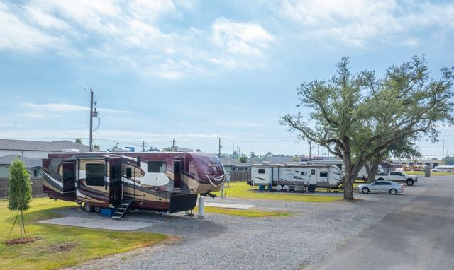 Large fifth wheel RV on a gravel site beside a tree and paved road