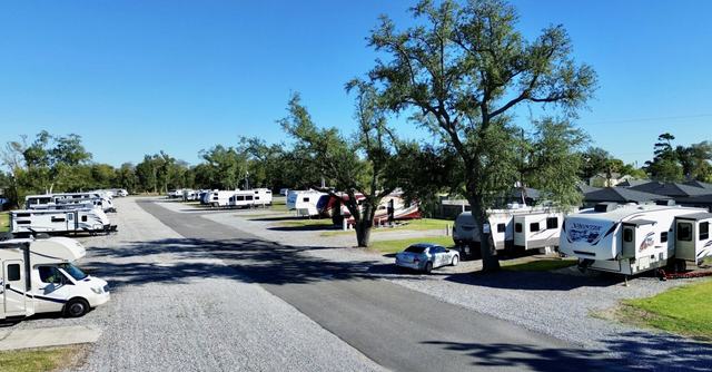 RVs parked along a paved road with gravel sites and large trees